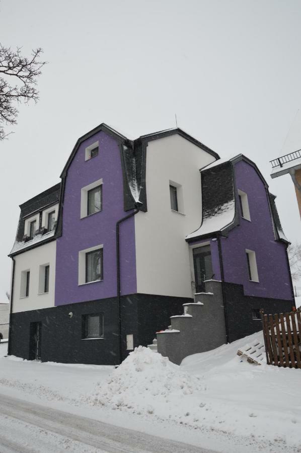 Apartments Villa Viola Kovářská 外观 照片